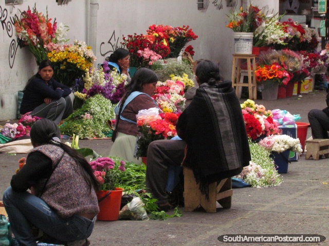 Flores encantadoras de venda em Sucre mercados centrais. (640x480px). Bolvia, Amrica do Sul.
