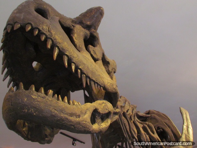 Huesos/modelo del dinosaurio en museo en Parque Cretacico en Sucre. (640x480px). Bolivia, Sudamerica.