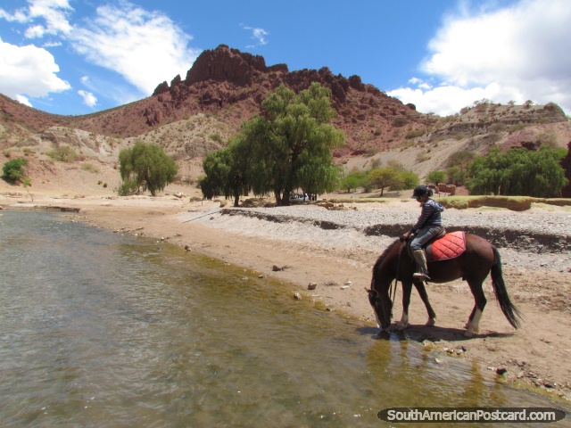 O cavalo bebe do rio em Tupiza. (640x480px). Bolvia, Amrica do Sul.