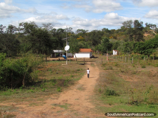 O rapaz em um caminho de sujeira anda a sua casa, ao sul de Santa Cruz. (640x480px). Bolívia, América do Sul.