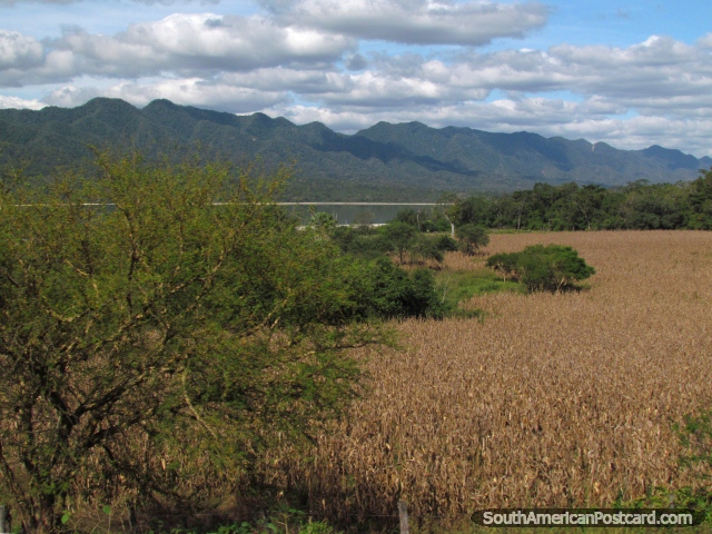 Bela cena, montanhas, rio e campo de colheita em Abapo. (640x480px). Bolvia, Amrica do Sul.