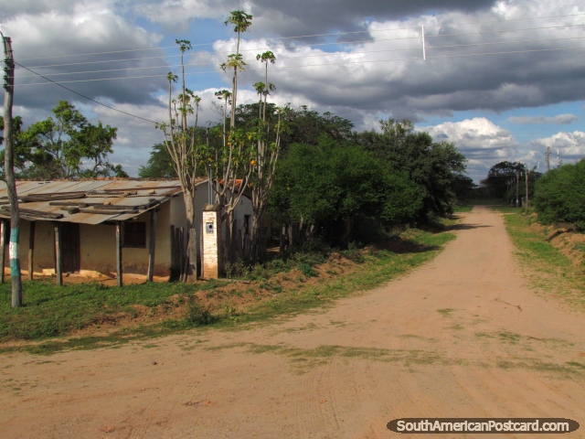 Casa, mamoeiro e caminho de sujeira em uma pequena cidade ao sul de Santa Cruz. (640x480px). Bolívia, América do Sul.