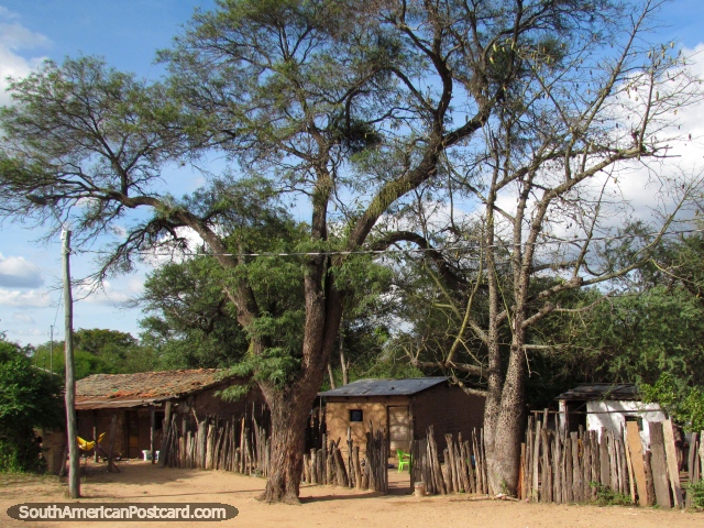 Cerca feita de logs de madeira, 2 sequias e casas de pas ao sul de Santa Cruz. (640x480px). Bolvia, Amrica do Sul.