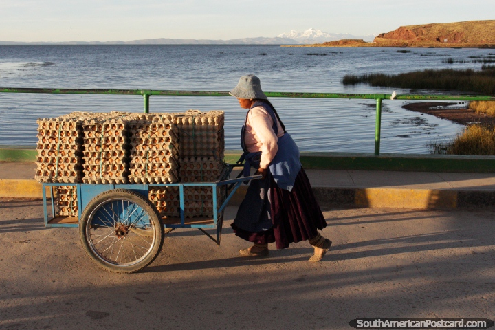 Women work hard in Desaguadero! This lady pushes a trolley of eggs across the bridge. (720x480px). Bolivia, South America.