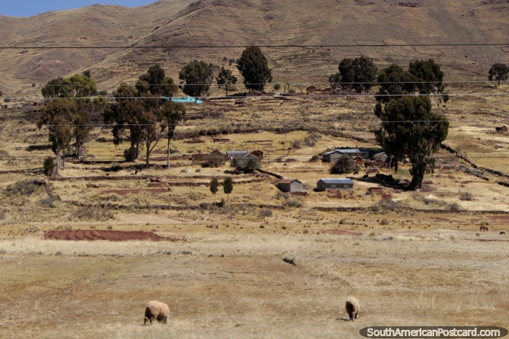 Casas y tierras de cultivo bajo las colinas entre Desaguadero y Tiahuanaco. (720x480px). Bolivia, Sudamerica.