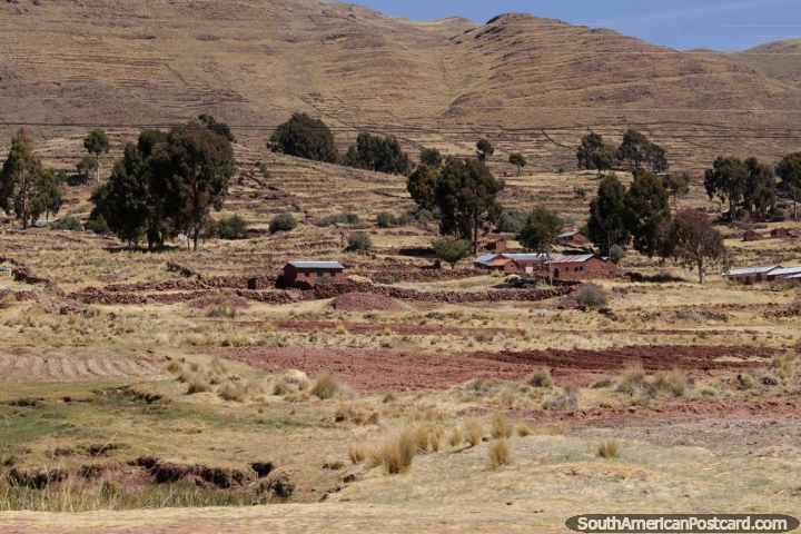 Un hermoso lugar para vivir alrededor de las colinas entre Desaguadero y Tiahuanaco. (720x480px). Bolivia, Sudamerica.