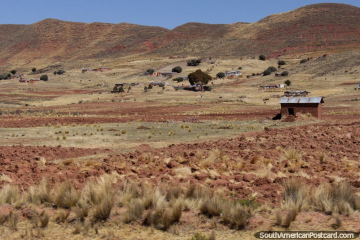 A terra costumou cultivar colheitas e esfolar animais entre Desaguadero e Tiwanaku. (720x480px). Bolvia, Amrica do Sul.