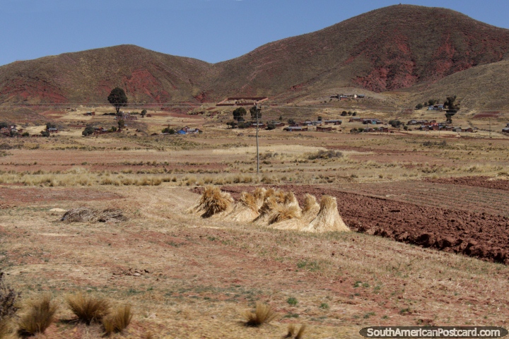 Haystacks and land used to cultivate crops between Desaguadero and Tiwanaku. (720x480px). Bolivia, South America.