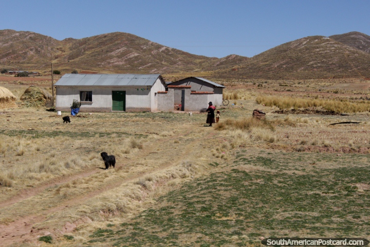 Una mujer, nio y un par de perros fuera de su casa en el campo entre Desaguadero y Tiahuanaco. (720x480px). Bolivia, Sudamerica.