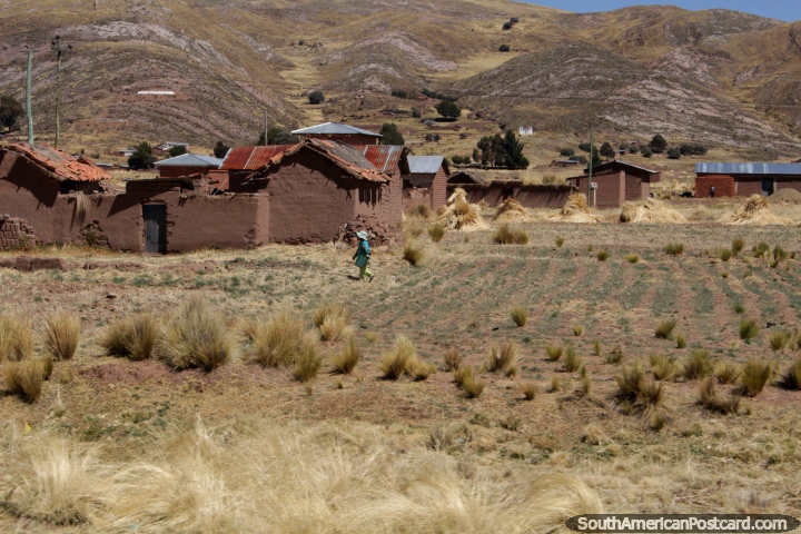 Un nio pasa junto a un grupo de casas de adobe entre Desaguadero y Tiahuanaco. (720x480px). Bolivia, Sudamerica.