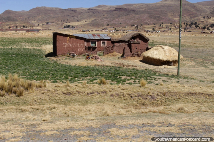 Una casa de adobe con algunas zonas verdes a su alrededor, cerca de Tiahuanaco. (720x480px). Bolivia, Sudamerica.
