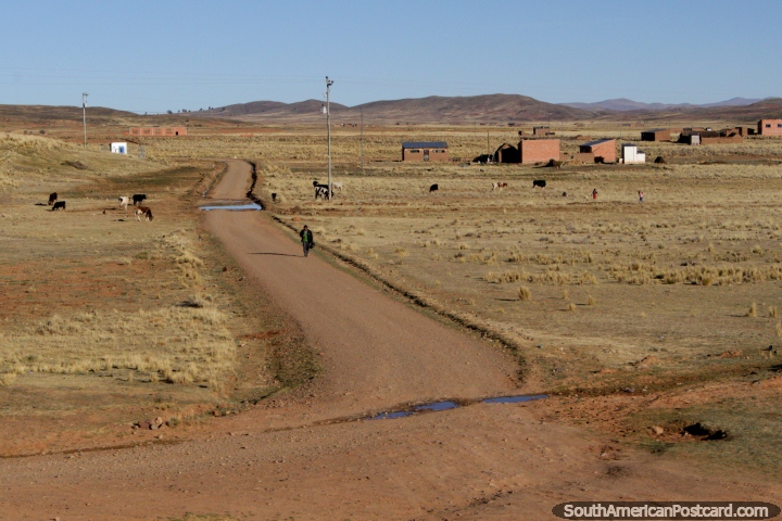 Un hombre camina a lo largo de un camino de tierra en el campo entre Tiahuanaco y La Paz. (720x480px). Bolivia, Sudamerica.