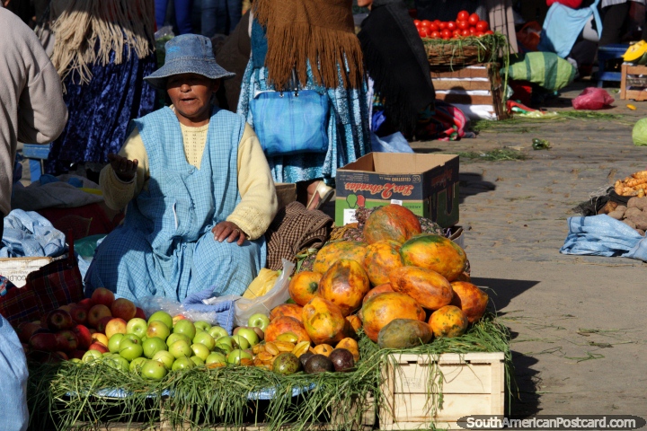 A woman sells apples and papaya at Mercado Rodriguez in La Paz. (720x480px). Bolivia, South America.