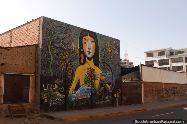 Large mural of a mystical woman holding a bird in Cochabamba. (720x480px). Bolivia, South America.