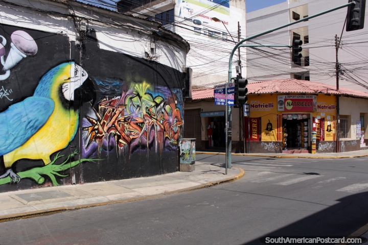 Mural of a blue and yellow macaw on a corner in central Cochabamba. (720x480px). Bolivia, South America.