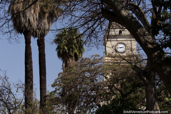 View of the clock tower through trees in the central plaza of Cochabamba. (720x480px). Bolivia, South America.