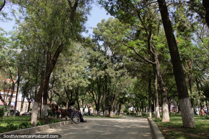 Lugar bonito de descansar abaixo de rvores, Parque Bolivar em Tarija. (720x480px). Bolvia, Amrica do Sul.