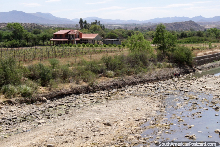 A house and vineyard in the countryside around Tarija. (720x480px). Bolivia, South America.