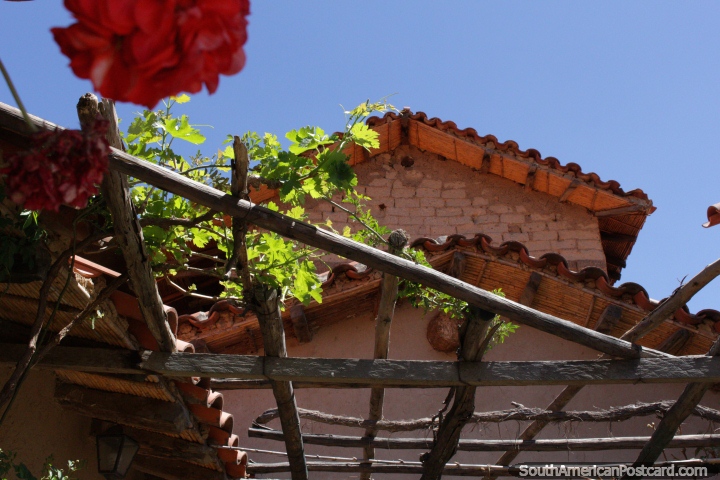 Vines grow around the roof of La Casa Vieja, the old house with vineyards near Tarija. (720x480px). Bolivia, South America.
