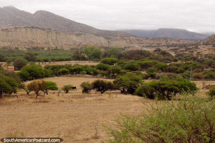 Um terreno pela maior parte seco entre Padcaya e Bermejo. (720x480px). Bolvia, Amrica do Sul.