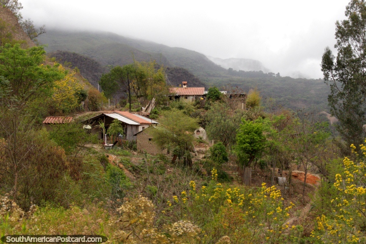 Casas na borda de terra do arbusto grossa em La Mamora, ao sul de Tarija. (720x480px). Bolvia, Amrica do Sul.