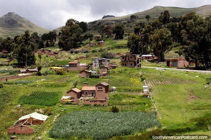Beautiful countryside around Copacabana on the journey towards La Paz, coca field in the foreground. (720x480px). Bolivia, South America.
