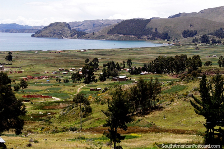 Campo verde abierto alrededor del Lago Titicaca en el viaje entre Copacabana y La Paz. (720x480px). Bolivia, Sudamerica.
