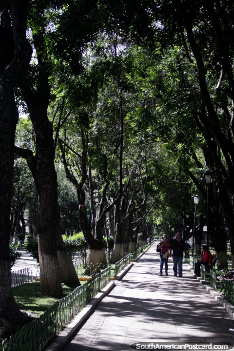 Parque Bolivar, um belo lugar com caminhos para passear ao longo em Sucre. (480x720px). Bolvia, Amrica do Sul.