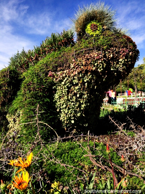 A giant frog made of plants in the gardens at Bolivar Park in Sucre. (480x640px). Bolivia, South America.