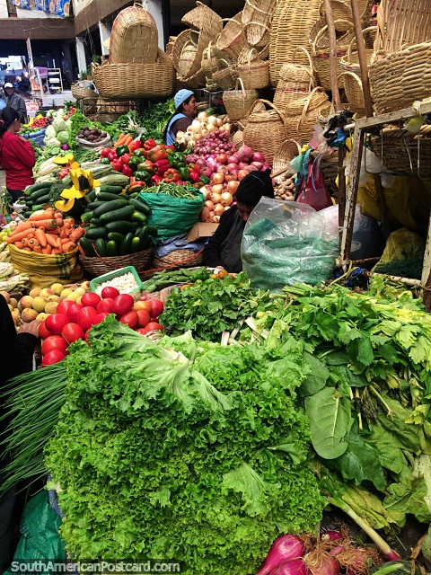Alface fresca e as melhores verduras de qualidade em Sucre no mercado central, 1 bloco da praa pblica principal. (480x640px). Bolvia, Amrica do Sul.