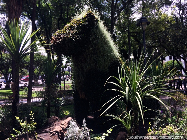 Lion made of plants inside the well-kept gardens at Plaza 25th of May in Sucre. (640x480px). Bolivia, South America.
