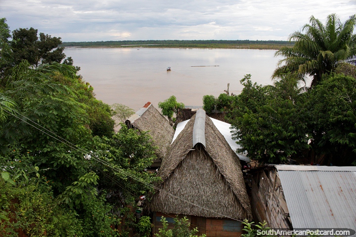 Thatched roof houses around palm trees at the rivers edge in Riberalta. (720x480px). Bolivia, South America.