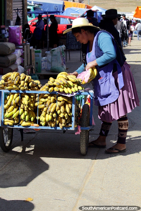 Señora con un carrito lleno de bananas que espera vender en el mercado de Tarabuco. (480x720px). Bolivia, Sudamerica.