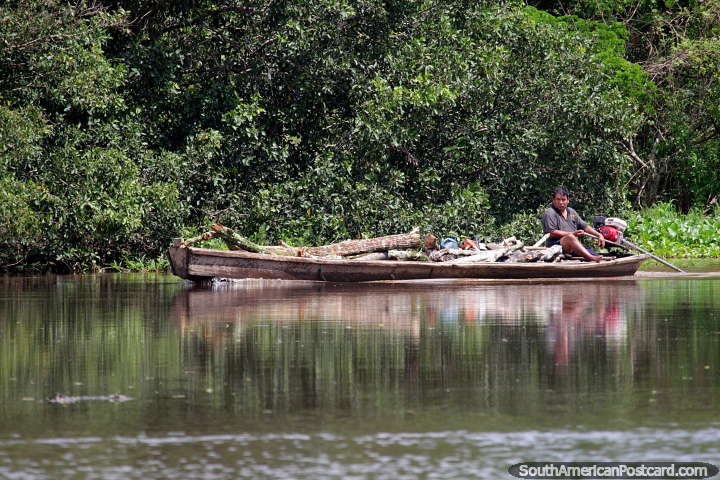 El hombre transporta troncos y ramas en su barco fluvial en los humedales alrededor de Trinidad. (720x480px). Bolivia, Sudamerica.