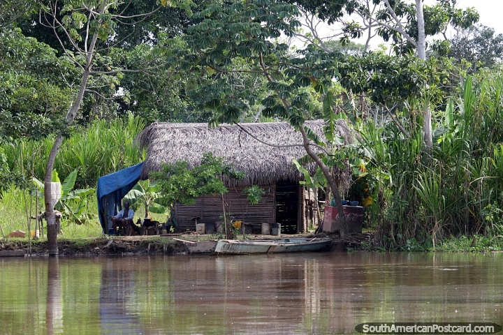 Man sits beside his thatched Amazon hut beside the river in Trinidad, a peaceful life. (720x480px). Bolivia, South America.