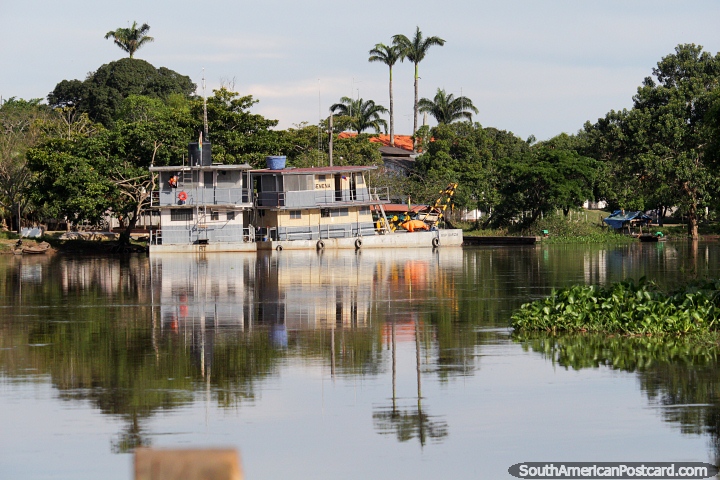 Smooth waters around the port with tall palm trees, the Amazon basin in Trinidad. (720x480px). Bolivia, South America.