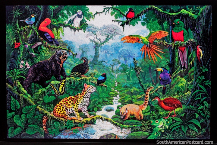 Cloud Forest by Carlos Cirbian, a scene from Amboro National Park with many amazing animals, painting in Santa Cruz. (720x480px). Bolivia, South America.