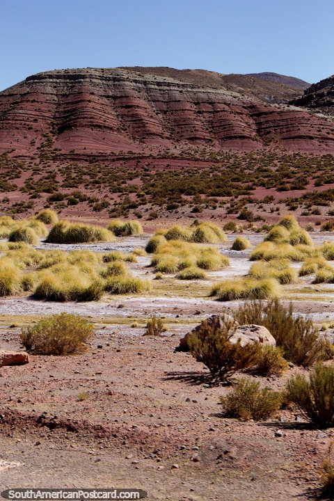 Como el salvaje oeste con terreno rocoso y seco alrededor, en Tica Tica, entre Potosi y Uyuni. (480x720px). Bolivia, Sudamerica.