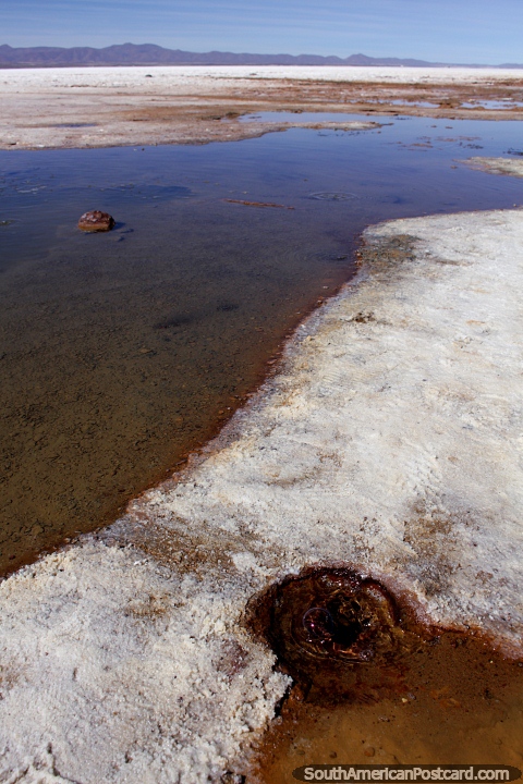 Las burbujas de un agujero marrn con agua en las salinas de Uyuni, lo llaman los ojos del desierto. (480x720px). Bolivia, Sudamerica.