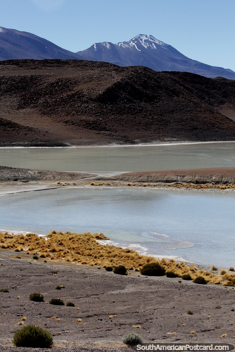 Las orillas de la laguna Charcota y las montaas distantes, un recorrido por las lagunas en el segundo da del recorrido por el desierto de Uyuni. (480x720px). Bolivia, Sudamerica.