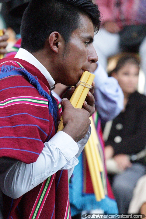 Man blowing wooden windpipes, parade in September in Sucre - El Gran Poder. (480x720px). Bolivia, South America.