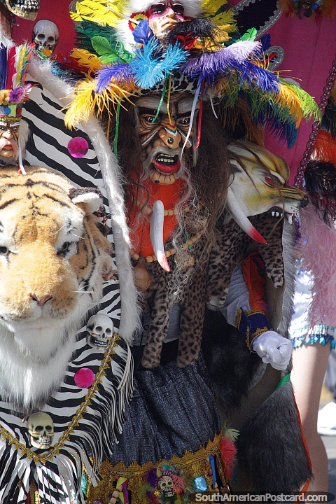 Disfraz del planeta de los simios con plumas de colores, animales unidos, El Gran Poder, Sucre. (480x720px). Bolivia, Sudamerica.