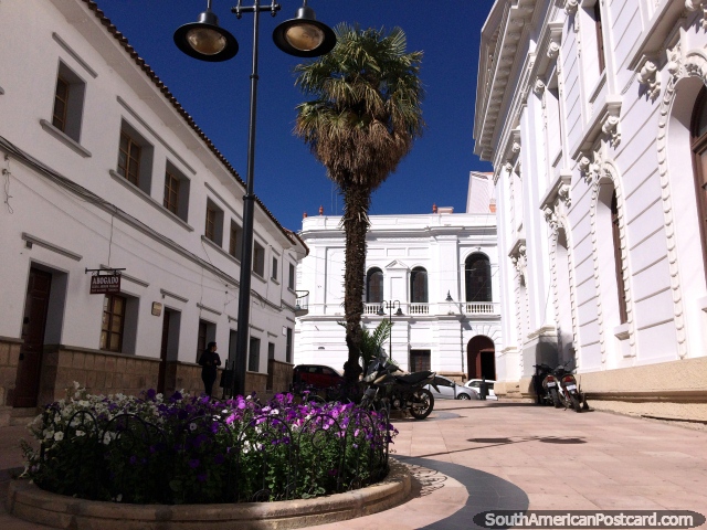 Bright white facades at the back of the Justice Palace in Sucre, purple flowers in the white city. (640x480px). Bolivia, South America.