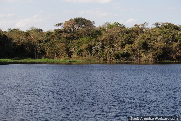 Waters of the dam with the forest behind in San Ignacio de Velasco. (720x480px). Bolivia, South America.