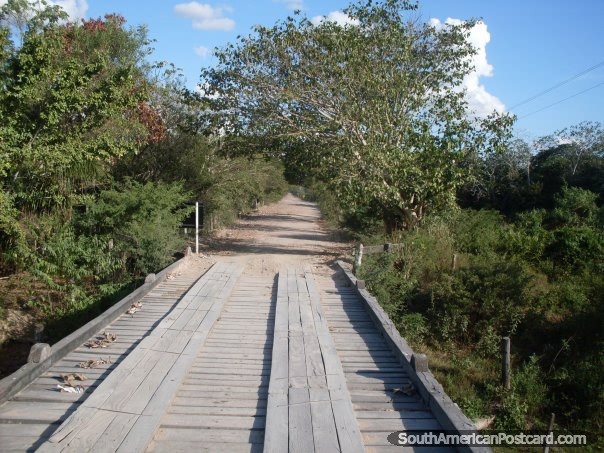 Wooden bridges over waterholes in the Pantanal. (640x480px). Brazil, South America.