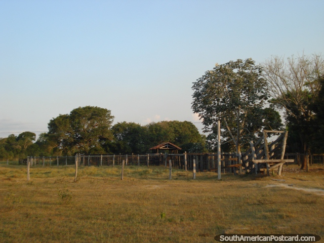 A chegada de fazenda de Santa Clara aponta em o Pantanal. (640x480px). Brasil, Amrica do Sul.