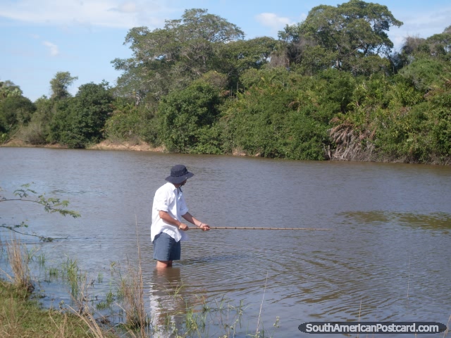 Pescando piraña en Pantanal. (640x480px). Brasil, Sudamerica.