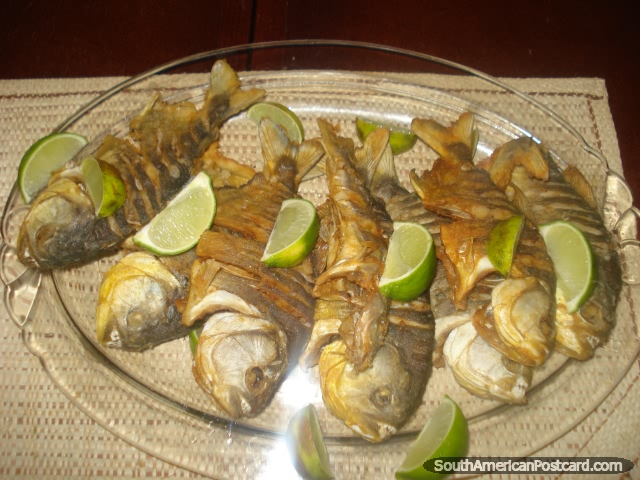 7 cooked piranha for lunch, Pantanal. (640x480px). Brazil, South America.