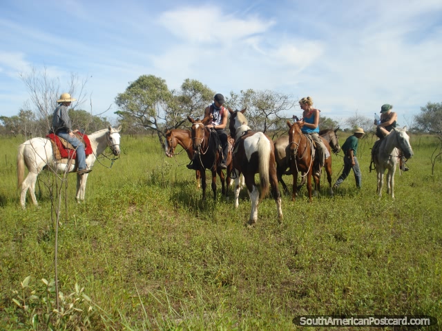 O nosso passeio do cavalo em o Pantanal foi durante quase 2 horas. (640x480px). Brasil, Amrica do Sul.