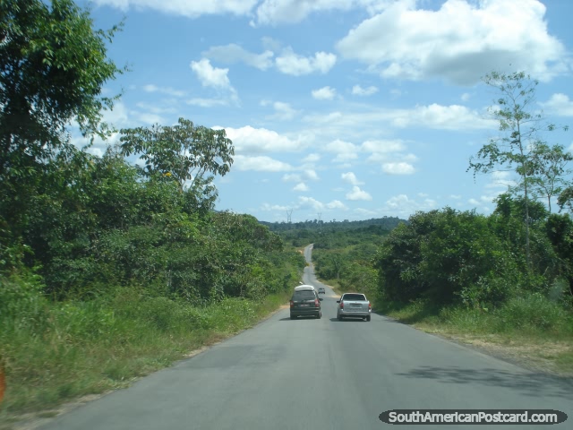 El camino a travs de vegetacin gruesa entre Pacaraima y Boa Vista. (640x480px). Brasil, Sudamerica.